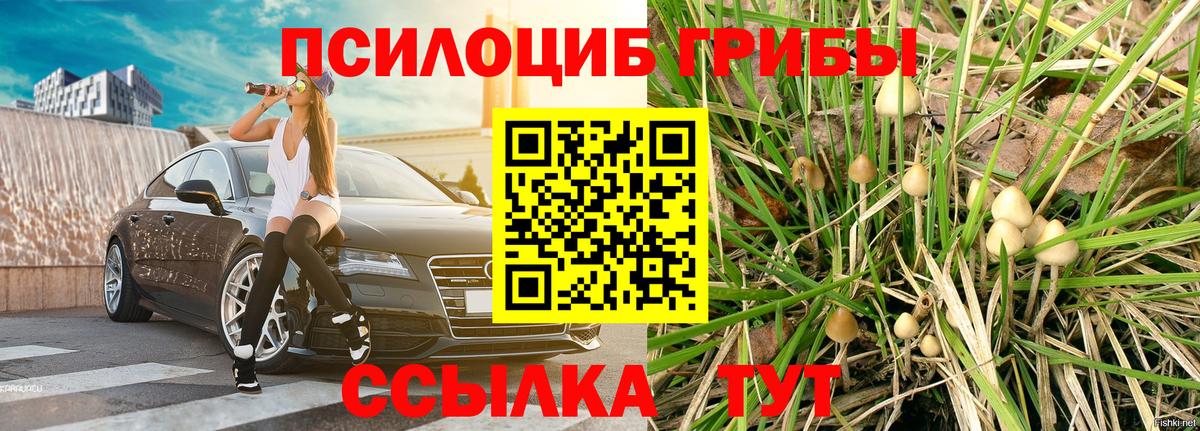 Галлюциногенные грибы Magic Shrooms Якутск