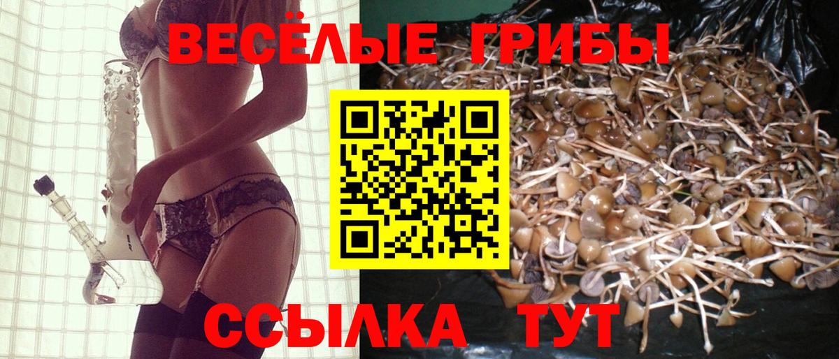 Галлюциногенные грибы мицелий  Вход с VPN  Якутск 